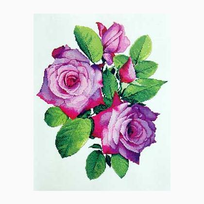 Paradise (Purple Rose)