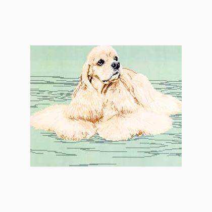 American Cocker Spaniel-Blonde (Body)