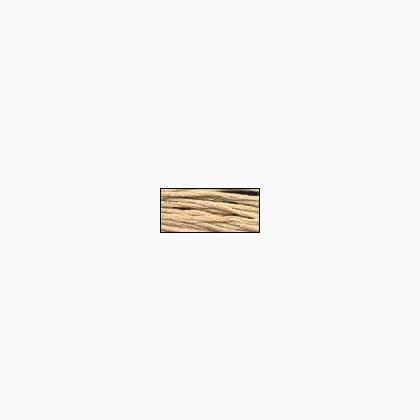 Bamboo