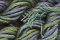 Caron Waterlilies 112 Fir