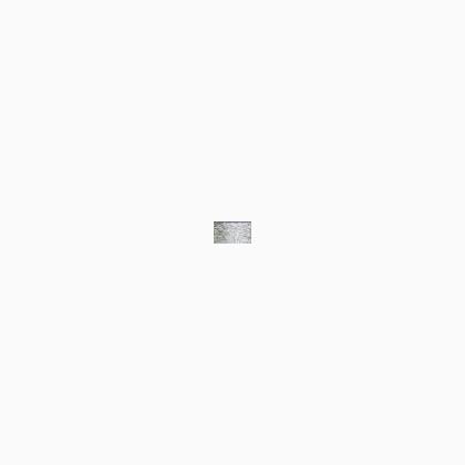 001 Silver (BF)