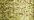 002 Gold (BF)