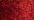003 Red (#4)