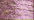 007 Pink (BF)