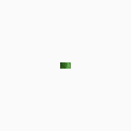 008 Green (#8)