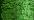 008 Green (#8)