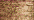 021 Copper (#8)