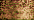 021HL Copper Hi Lustre (#8)