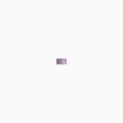 023 Lilac (#4)