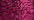 024 Fuchsia (#8)