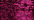 024HL Fuchsia Hi Lustre (#4)