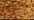 127 Yellow Orange (#4)