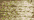 210 Gold Dust (#8)