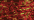 307 Deep Coral (#8)