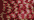 332 Candy Cane (#8)