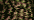 2122 Curry (#4)