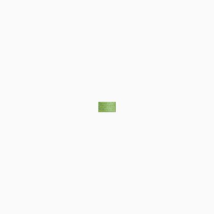 9194 Star Green (#8)