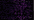 026V Vintage Amethyst (BF)