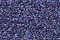 Treasure Petite: pb34 - Deep Purple