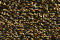 Treasure Petite: pb37 - Dark Antique Gold