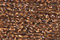 Treasure Petite: pb39 - New Copper