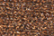 Treasure Petite: pb39 - New Copper