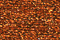 Treasure Petite: pb42 - Autumn Orange
