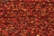 Treasure Petite: pb44 - Autumn Red