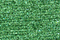 Treasure Petite: pb06 - Green