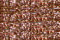 Treasure Petite: pb21 - Copper