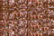 Treasure Petite: pb21 - Copper