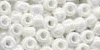 16601 - White Opal Size 6 Beads