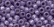 18826 - Opal Hyacinth Size 8 Beads
