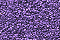 Treasure Petite: pb11 - Purple