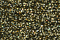 Treasure Petite: pb30 - Black Gold