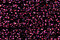Treasure Petite: pb29 - Burgundy