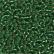 02054 Brilliant Shamrock
