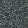 02022 Silver Silverlined