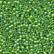 62049 Spring Green  Inside Color Matte
