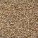 42027 Champagne  Silverlined