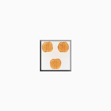 12253 Flat Baroque Bead Topaz