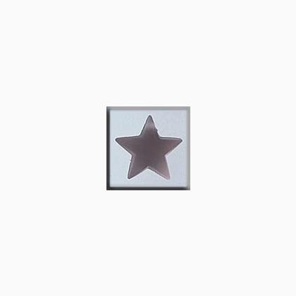 12049 Large Domed Star Matte Rosaline