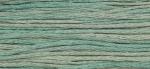 WDW 2116 Blue Fescue