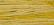 WDW 2221 Gold