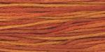 WDW 2239 Terra Cotta