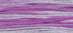 WDW 2291 Sugar Plum