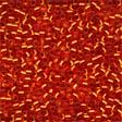 10002 AUTUMN FLAME