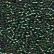 10023 EVERGREEN