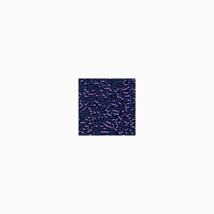 10074 PURPLE PASSION