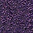 10110 PURPLE PIZZAZZ